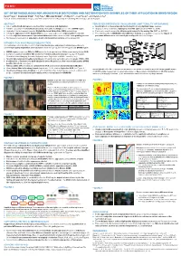 Set of Methodologies for Archive Film Digitization and Restoration With
