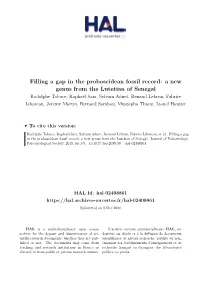 Filling a Gap in the Proboscidean Fossil Record: a New Genus from The