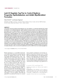 Lats1/2 Regulate Yap/Taz to Control Nephron Progenitor Epithelialization and Inhibit Myoﬁbroblast Formation