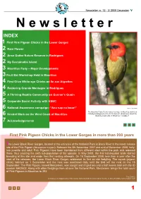 Newsletter Nr