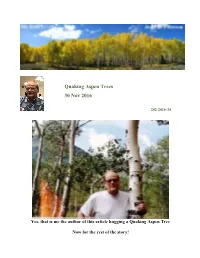 Quaking Aspen Trees 30 Nov 2016
