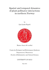 Spatial and Temporal Dynamics of Plant-Pollinator Interactions in Northern Norway