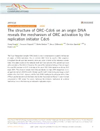 Cdc6 on an Origin DNA Reveals the Mechanism of ORC