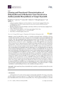 Cloning and Functional Characterization of Dihydroflavonol