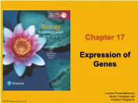 Chapter 17 Expression of Genes