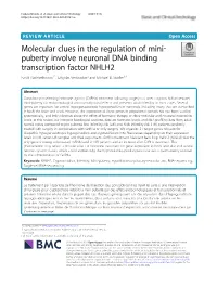 Molecular Clues in the Regulation of Mini‐Puberty Involve Neuronal DNA