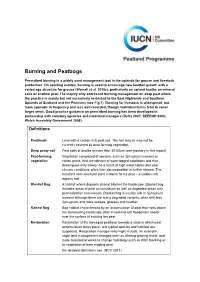 Burning and Peatbogs