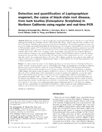 Detection and Quantification of Leptographium Wageneri, The