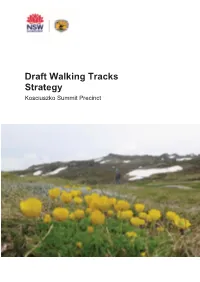 Draft Walking Track Strategy Kosciuszko Summit Precinct