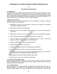Pdfmachine Trial Version 13