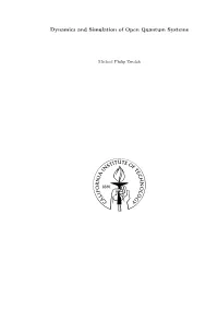 Dynamics and Simulation of Open Quantum Systems
