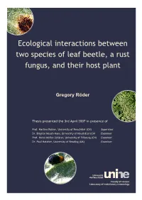 Ecological Interactions Between Two Species of Leaf Beetle, a Rust Fungus, and Their Host Plant