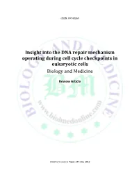 Insight Into the DNA Repair Mechanism Operating During Cell Cycle Checkpoints in Eukaryotic Cells Biology and Medicine