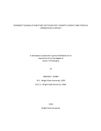 DIVERGENT SCALING of MINIATURE EXCITATORY POST-SYNAPTIC CURRENT AMPLITUDES in HOMEOSTATIC PLASTICITY a Dissertation Submitted In