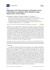 Separation and Characterization of Prostate Cancer Cell Subtype According to Their Motility Using a Multi-Layer Cigip Culture