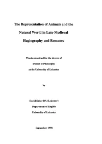 The Representation of Animals and the Natural World in Late-Medieval