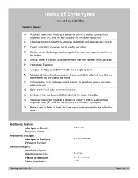 Index of Synonyms