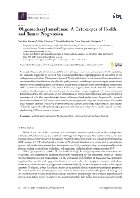 Oligosaccharyltransferase: a Gatekeeper of Health and Tumor Progression