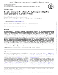 Despite Phylogenetic Effects, C3–C4 Lineages Bridge the Ecological Gap to C4 Photosynthesis