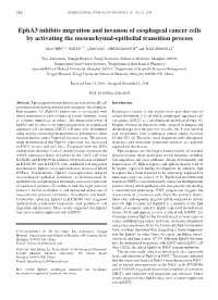 Epha3 Inhibits Migration and Invasion of Esophageal Cancer Cells by Activating the Mesenchymal‑Epithelial Transition Process