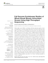Full Genome Evolutionary Studies of Wheat Streak Mosaic-Associated Viruses Using High-Throughput