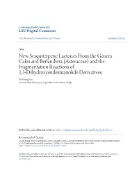 New Sesquiterpene Lactones from the Genera Calea and Berlandiera (Asteraceae) and the Fragmentation Reactions of 1,3-Dihydroxyeudesmanolide Derivatives