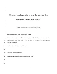 Spectrin Binding Motifs Control Scribble Cortical Dynamics And