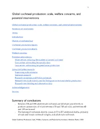 Global Cochineal Production: Scale, Welfare Concerns, and Potential Interventions