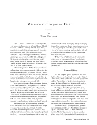M Innesota's F Orgotten F