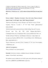 Modestobacter Altitudinis Sp. Nov., a Novel Actinobacterium Isolated from Atacama Desert Soil