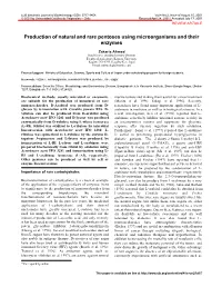 Production of Natural and Rare Pentoses Using Microorganisms and Their Enzymes