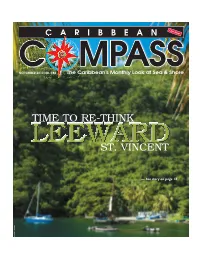 St. Vincent Time to Re-Think