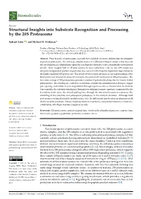 Structural Insights Into Substrate Recognition and Processing by the 20S Proteasome
