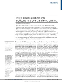 Three-Dimensional Genome Architecture: Players and Mechanisms