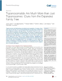 Trypanosomatids Are Much More Than Just Trypanosomes: Clues from The