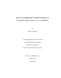 Effect of Temperature on the Development of Sugarcane