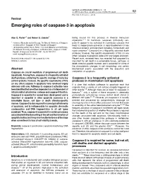 Emerging Roles of Caspase-3 in Apoptosis