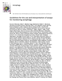 Guidelines for the Use and Interpretation of Assays for Monitoring Autophagy
