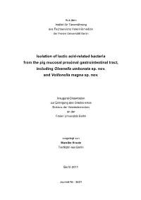 Isolation of Lactic-Acid Related Bacteria from the Pig Mucosal P