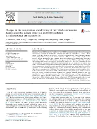 Changes in the Composition and Diversity of Microbial Communities During Anaerobic Nitrate Reduction and Fe(II) Oxidation at Circumneutral Ph in Paddy Soil