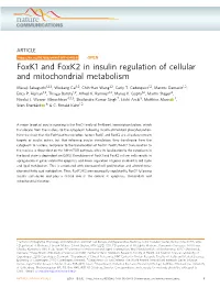 Foxk1 and Foxk2 in Insulin Regulation of Cellular and Mitochondrial Metabolism