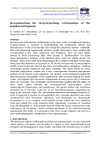 Reconstructing the Deep-Branching Relationships of the Papilionoid Legumes