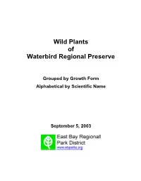 3-Web WB Plant List