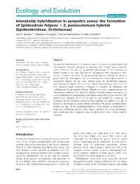 Interploidy Hybridization in Sympatric Zones: the Formation of Epidendrum Fulgens 3 E
