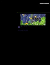 Newsletter Template 2011