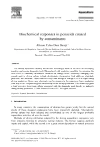 Biochemical Responses in Penaeids Caused by Contaminants