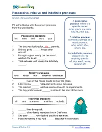Possessive, Relative and Indefinite Pronouns Worksheet
