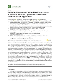 The Polar Lipidome of Cultured Emiliania Huxleyi: a Source of Bioactive Lipids with Relevance for Biotechnological Applications