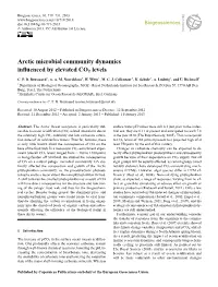 Article Size Distribution and A