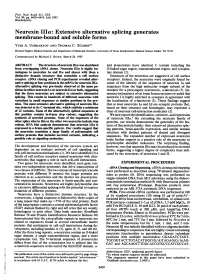 Neurexin Ilia: Extensive Alternative Splicing Generates Membrane-Bound and Soluble Forms Yuri A